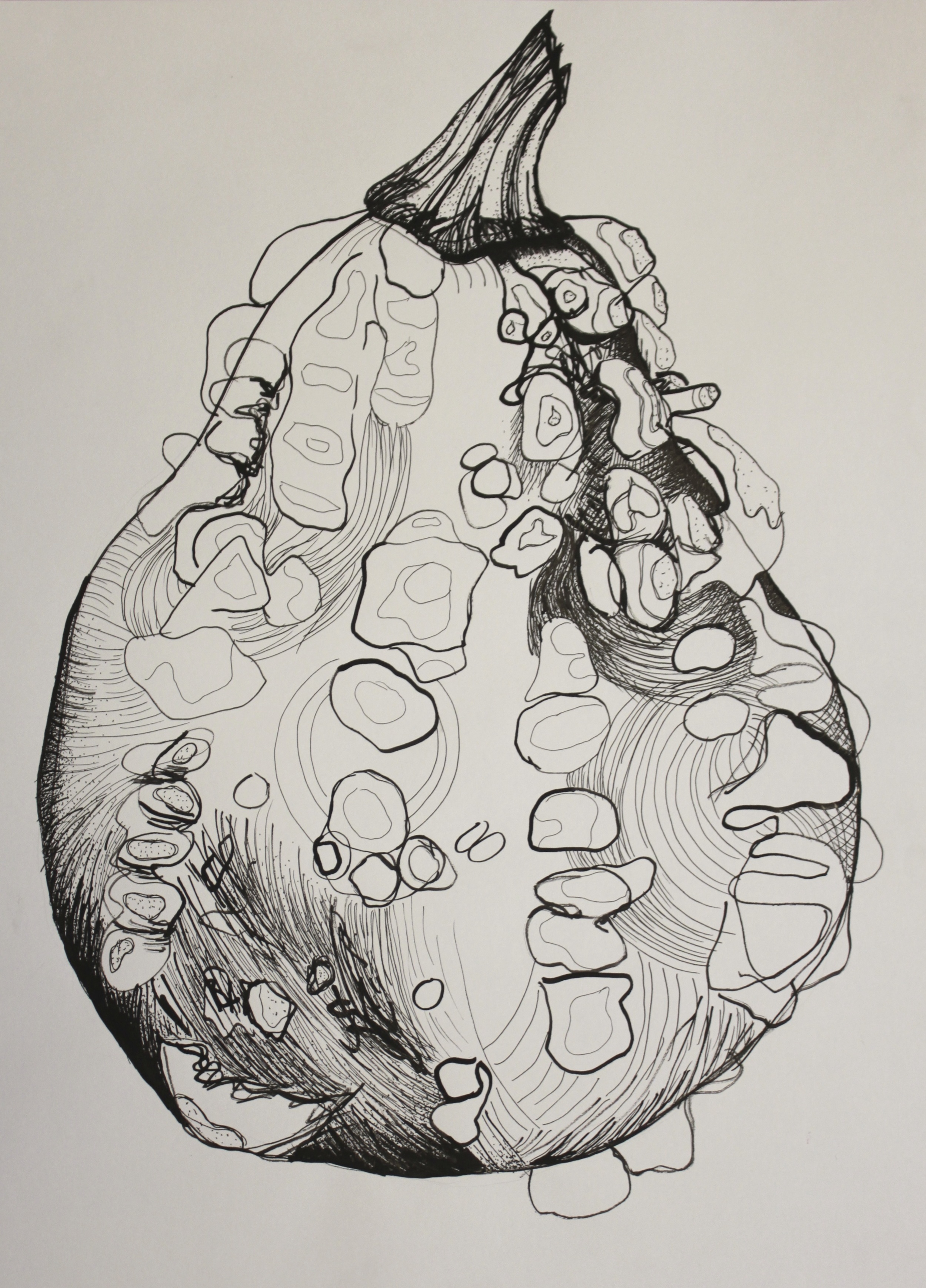 Knobby Gourd, 18" x 24"