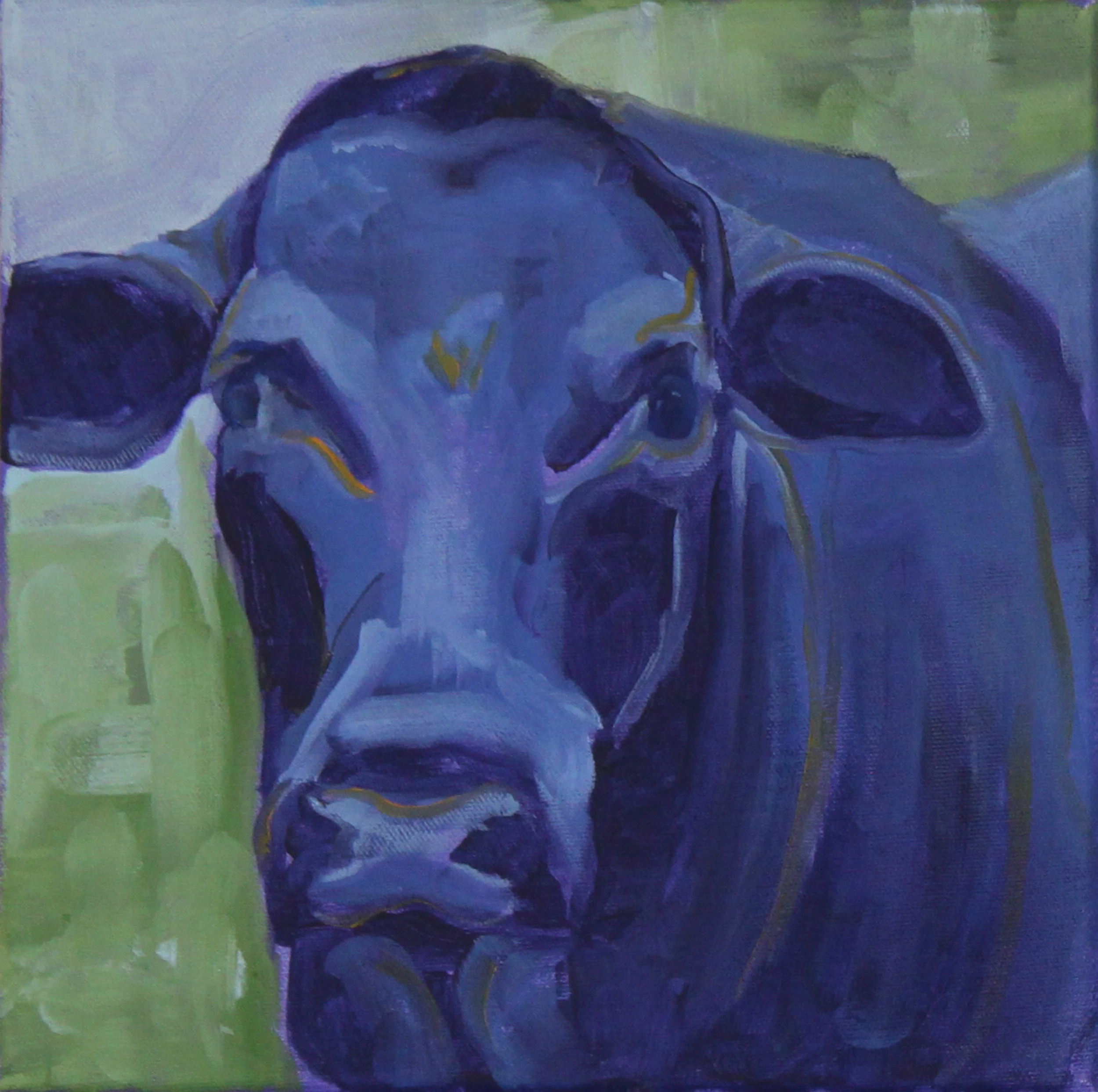 Don No. 1, 10" x 10"