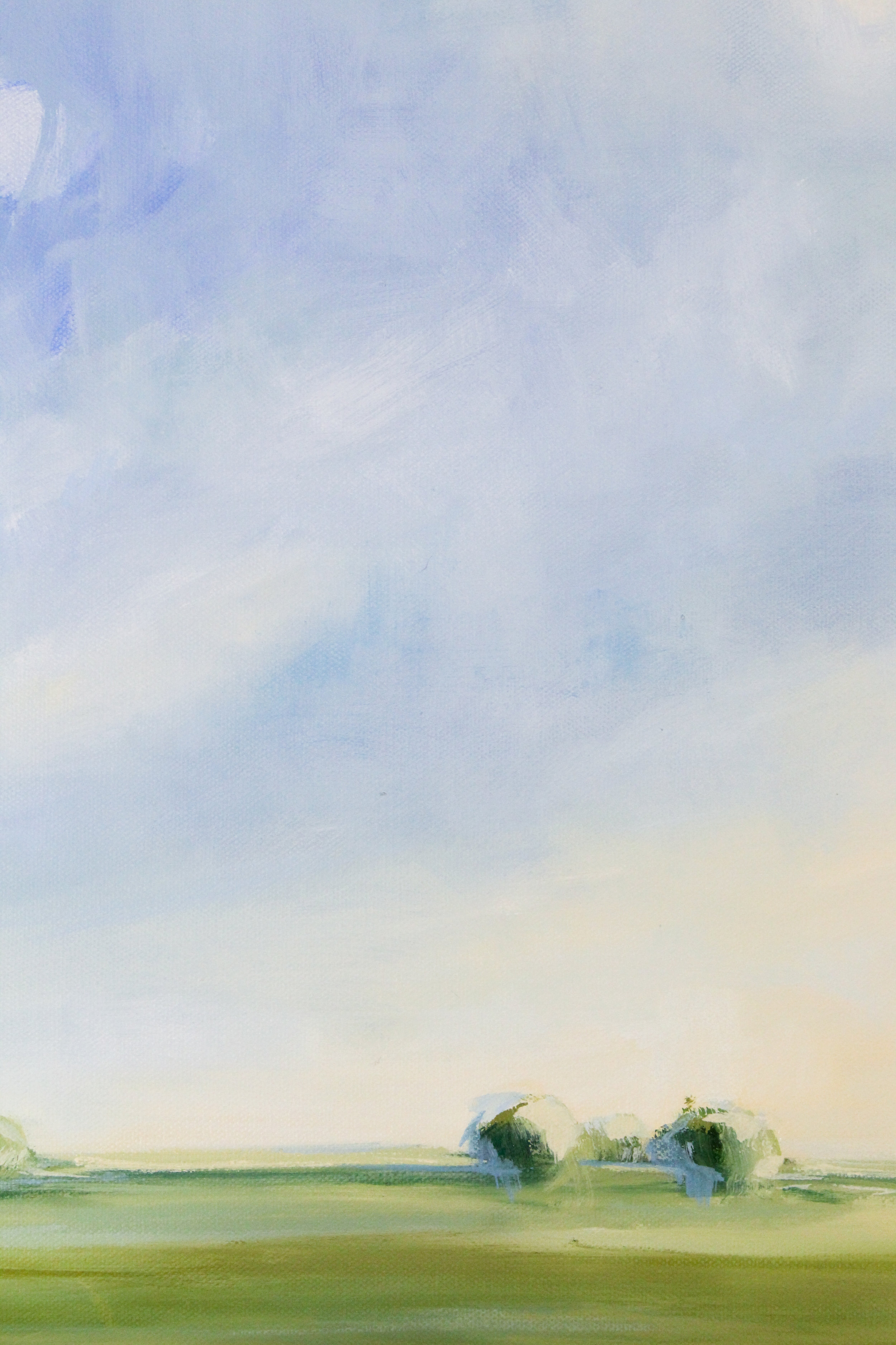 ColorOfMySky-175.jpg