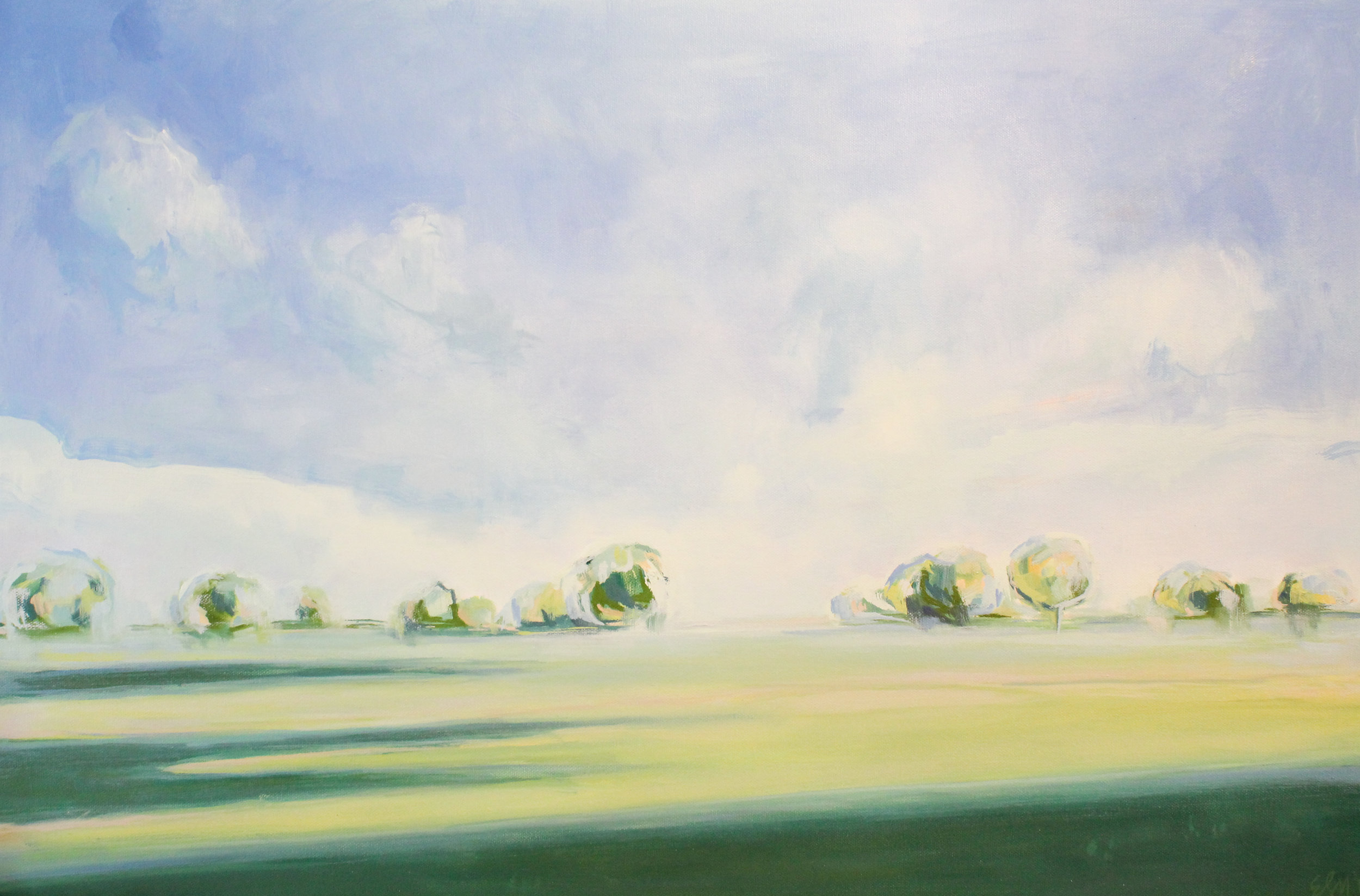  The original look of 'Endless Spring'