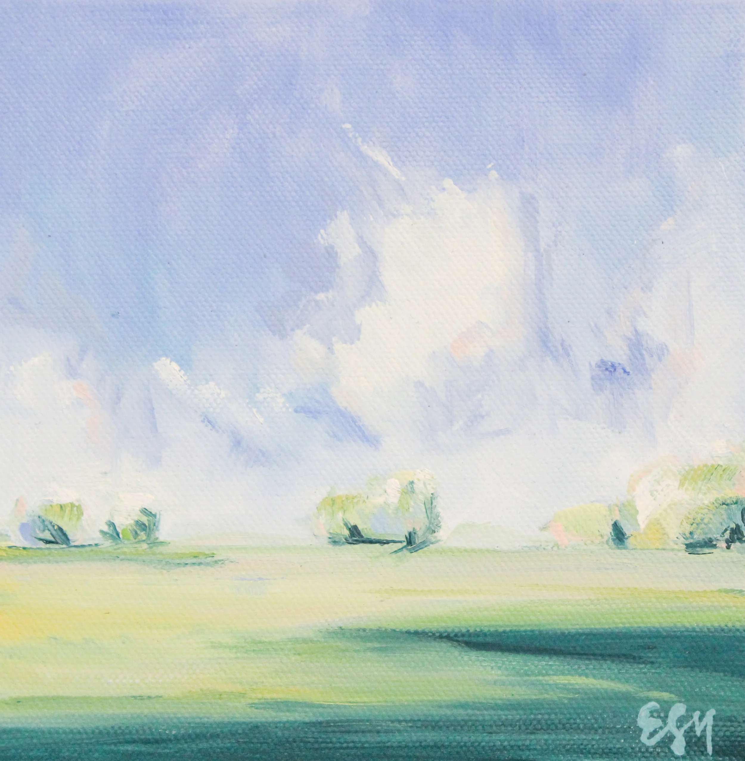 ColorOfMySky-107-Pasture.jpg