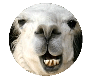 llama1.gif