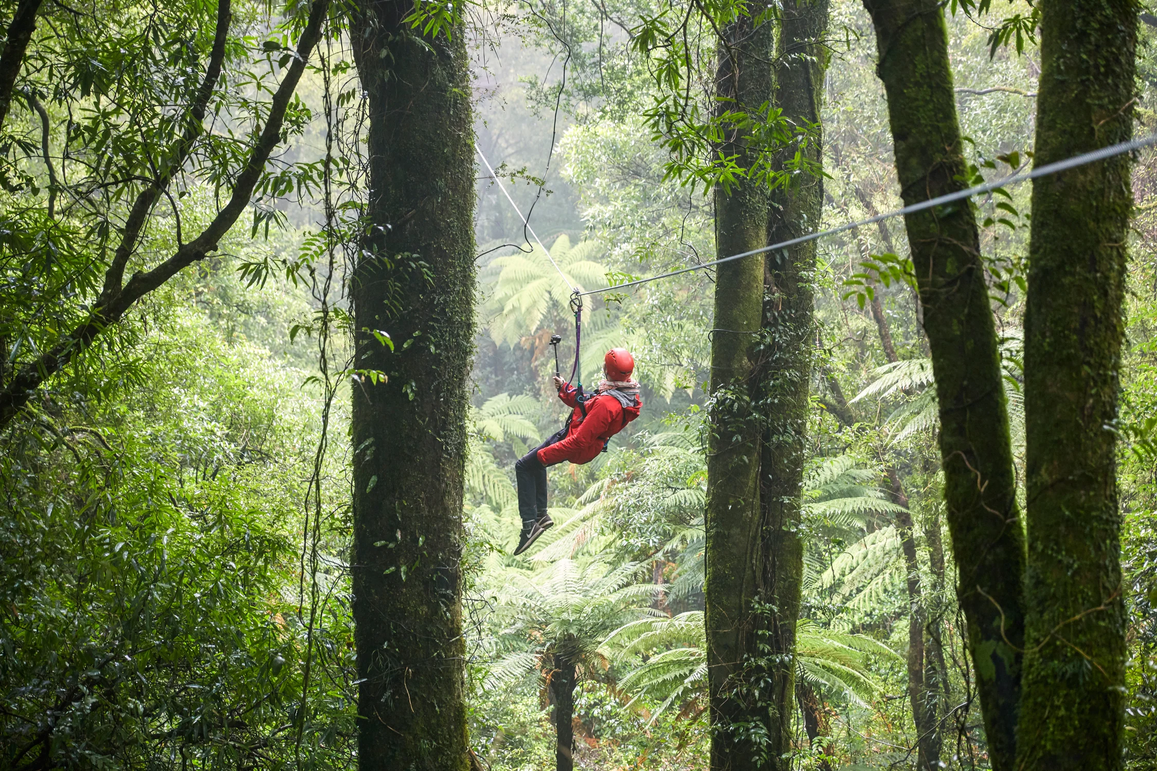 TNZ_BP_ZipLine_MCrawford_01290_Final_HR.jpg