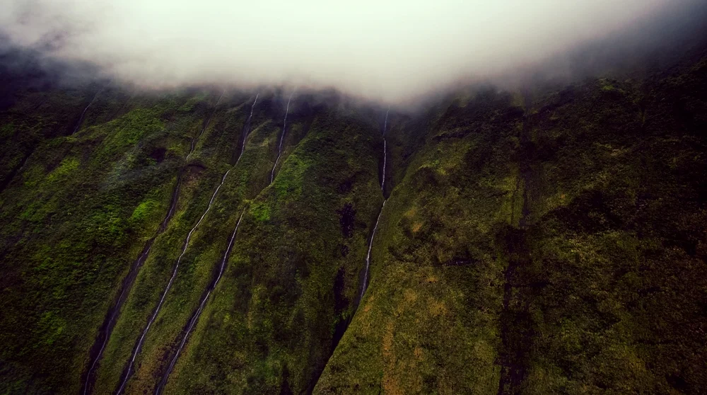 Hawaii MMJ Card Allows Visitors & Locals to Shop at the Kauai