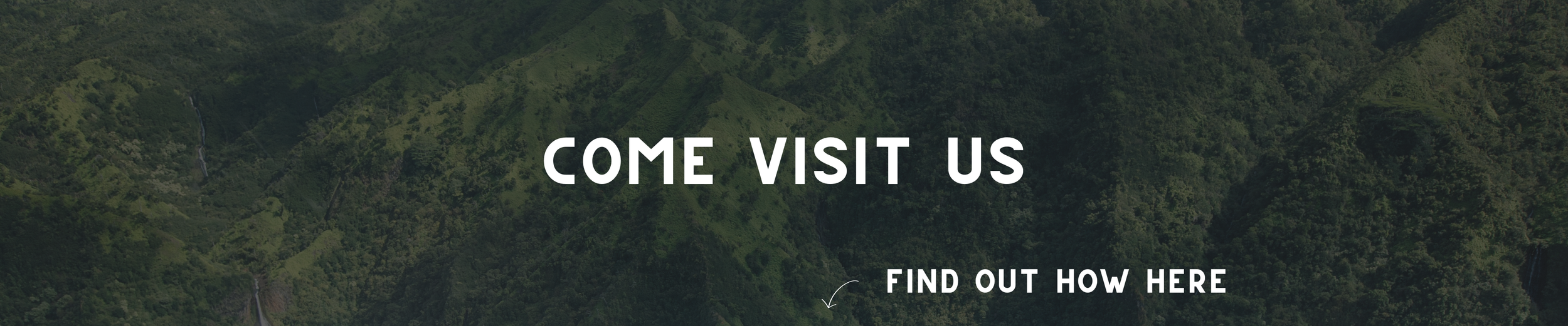 Hawaii MMJ Card Allows Visitors & Locals to Shop at the Kauai