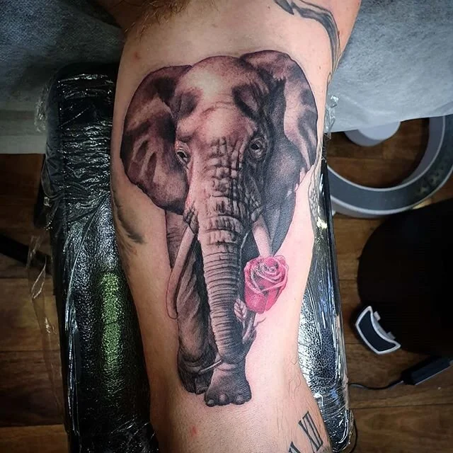 Nice little Ellie on the inner bicep
#elephanttattoo #elephants #blackandgreyrealism #redroses #brisbanetattoo #Brisbane #memorialtattoo #tattoos #bulimba #elephantart #inked