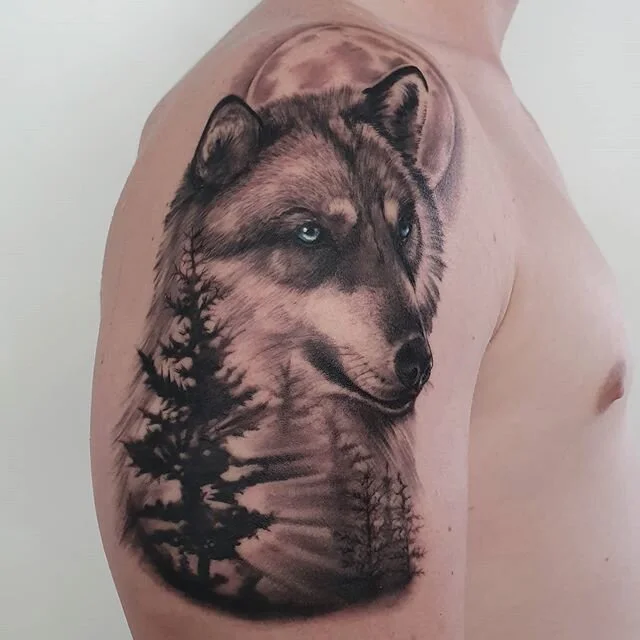 #wolf #wolftattoo #sickwolftat #tattoo #blackandgreyrealism #realismtattoo #brisbanetattoo #brisbanetattoostudio ##bulimbatattooist