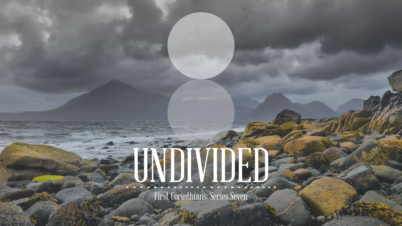 undivided-1COR_box.jpg