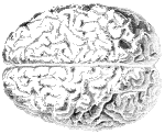 use-your-brain-2015.gif