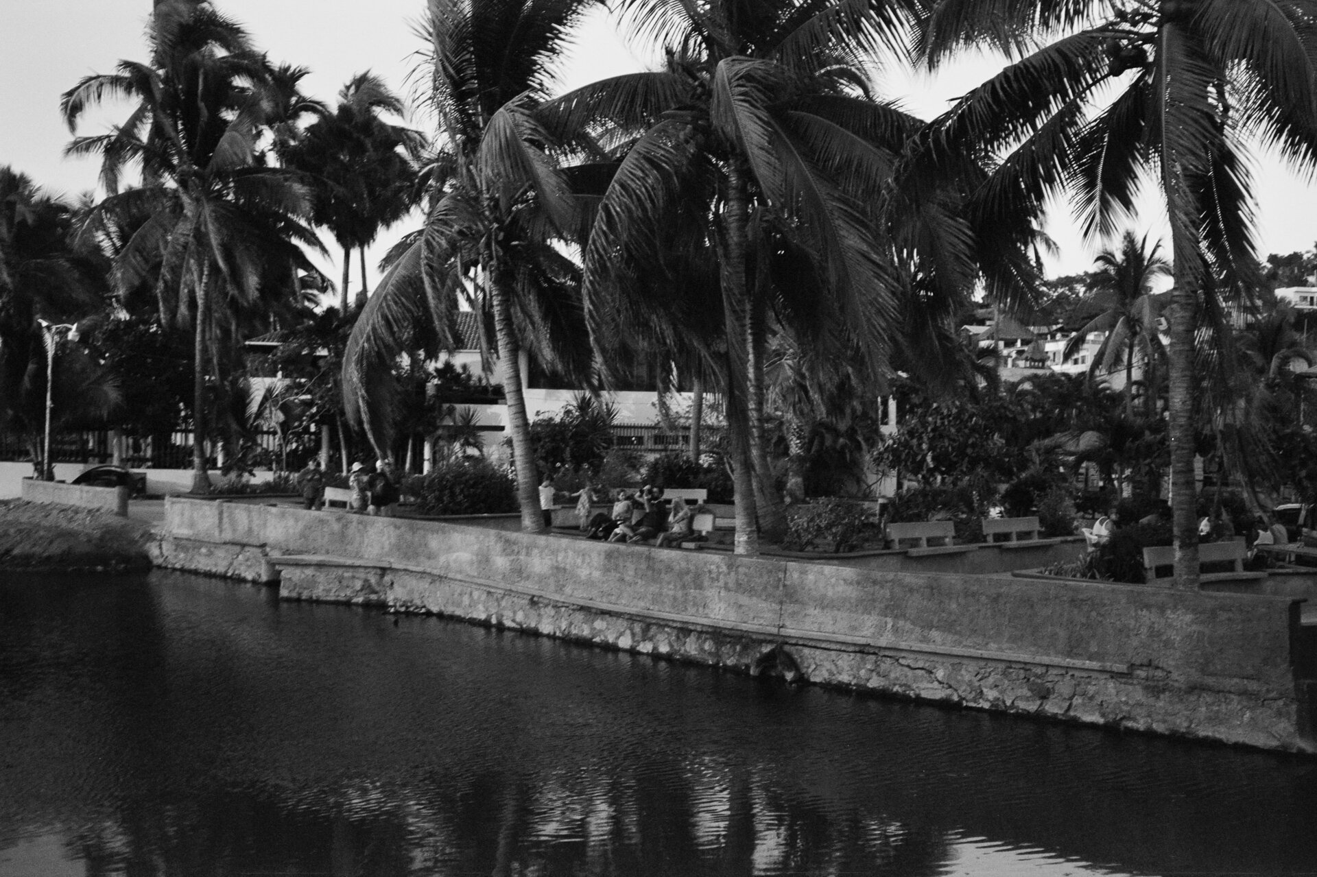LaManzanilla_bwa_m4_px125AA027.jpg