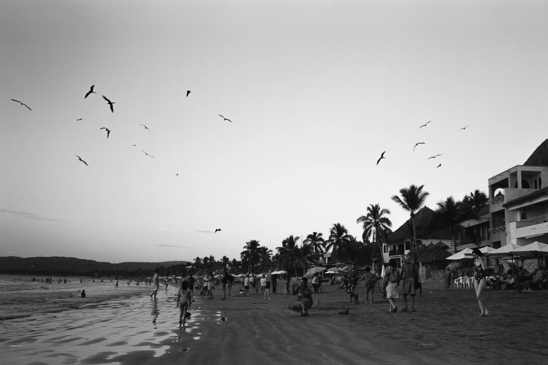 LaManzanilla_bwc_m4_px125AA038.jpg