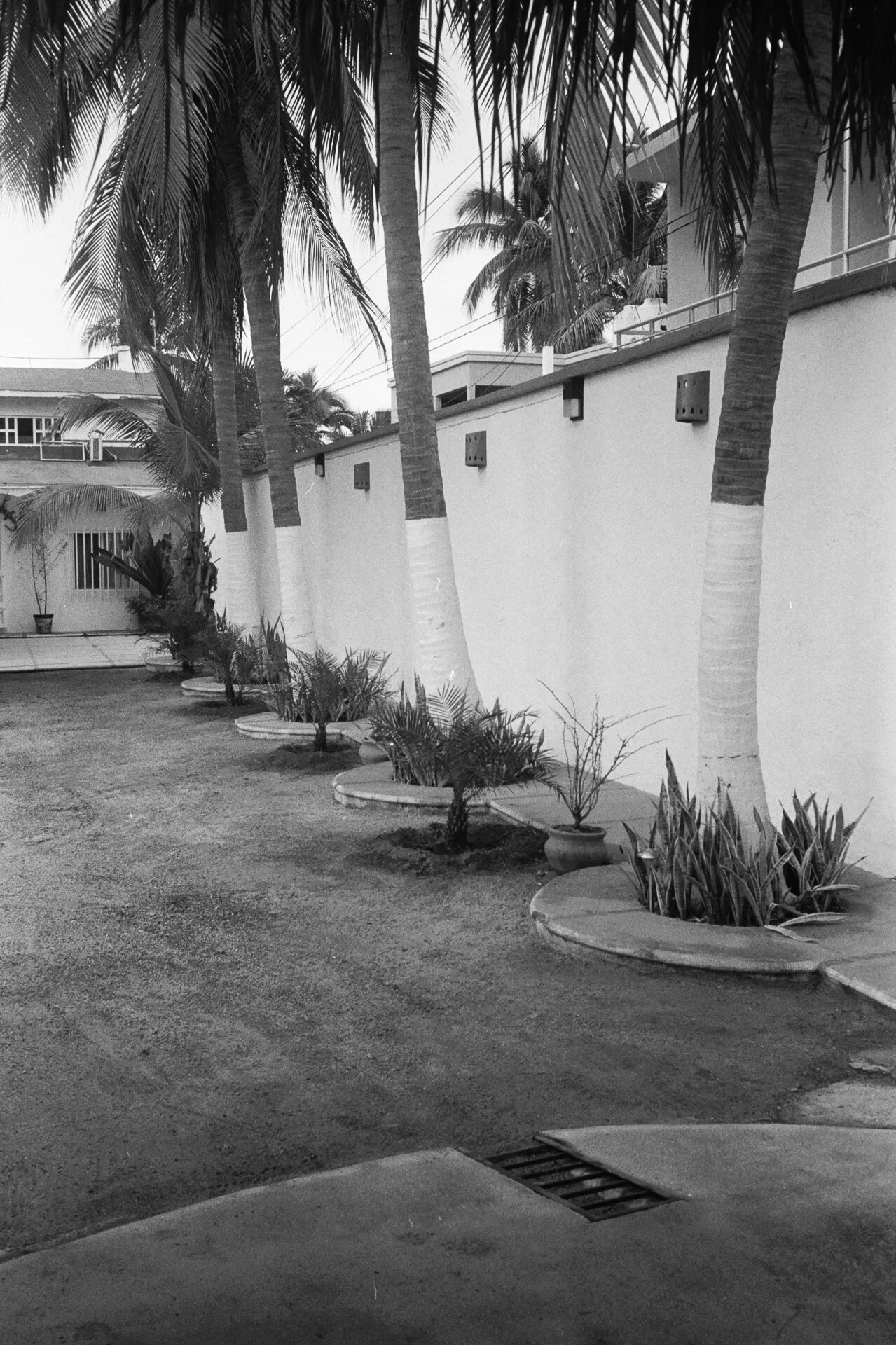 LaManzanilla_bwd_m4_hp5AA030A.jpg