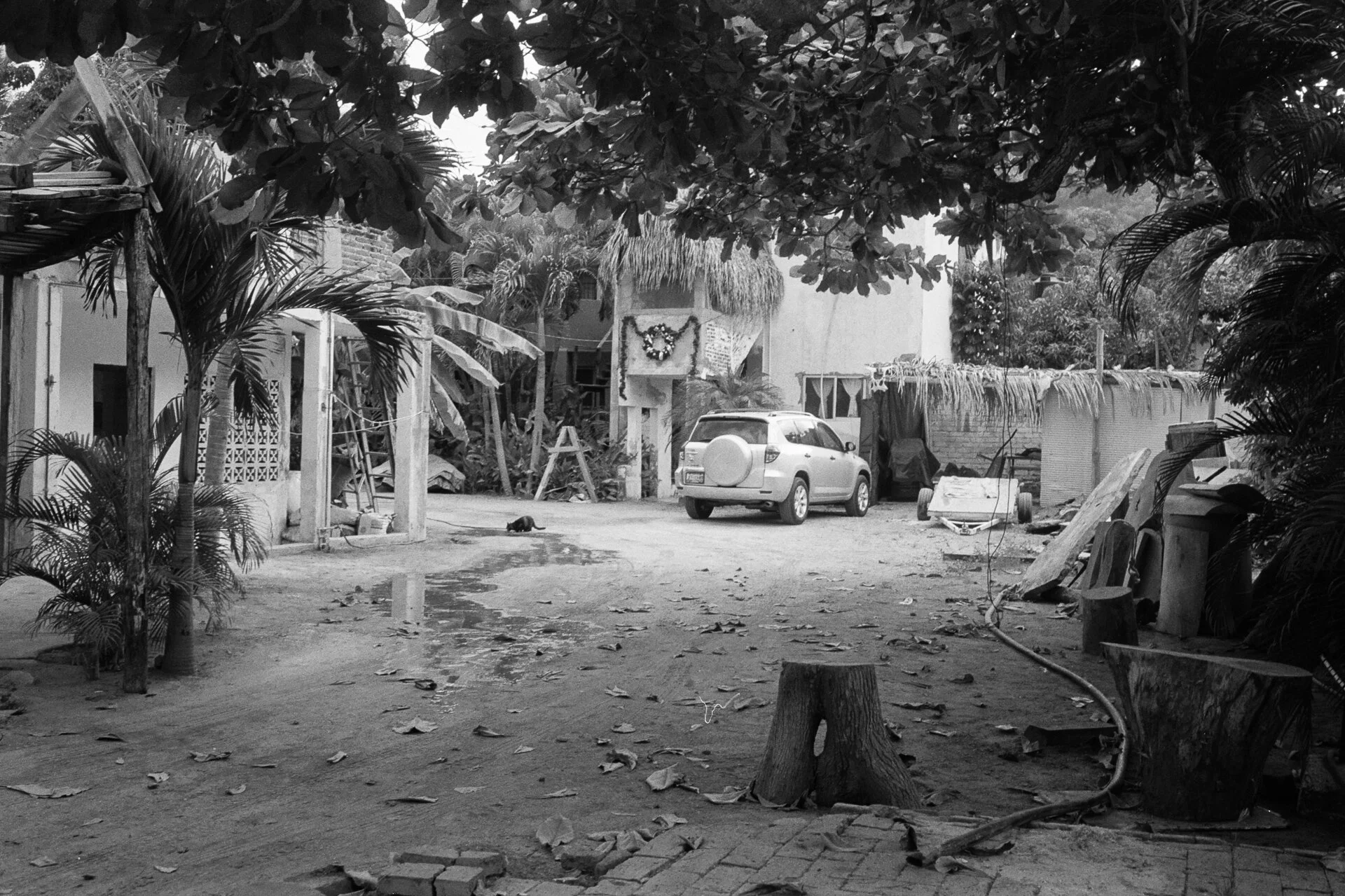 LaManzanilla_bwd_m4_hp5AA031A.jpg