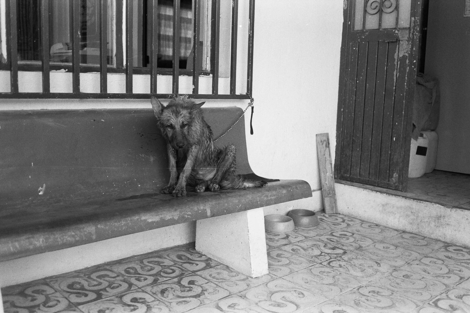 LaManzanilla_bwd_m4_hp5AA032A.jpg