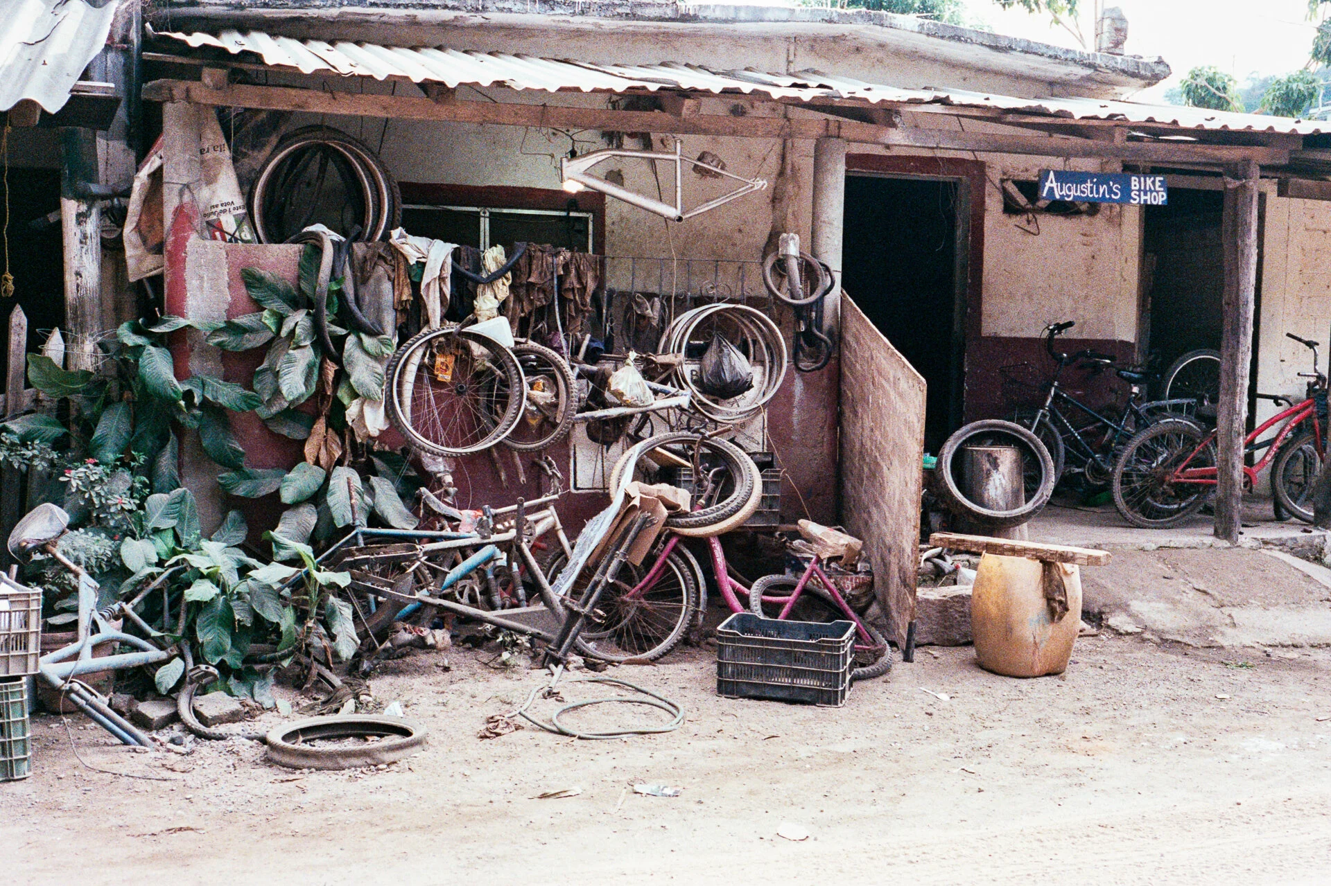 LaManzanilla_a_1219_m4_fuji800AA001.jpg