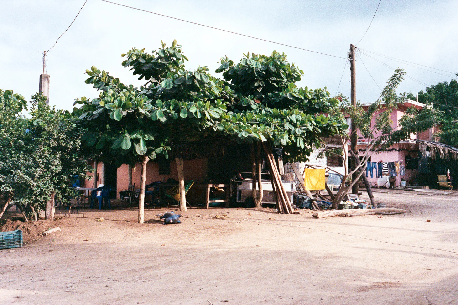 LaManzanilla_a_1219_m4_fuji800AA003.jpg