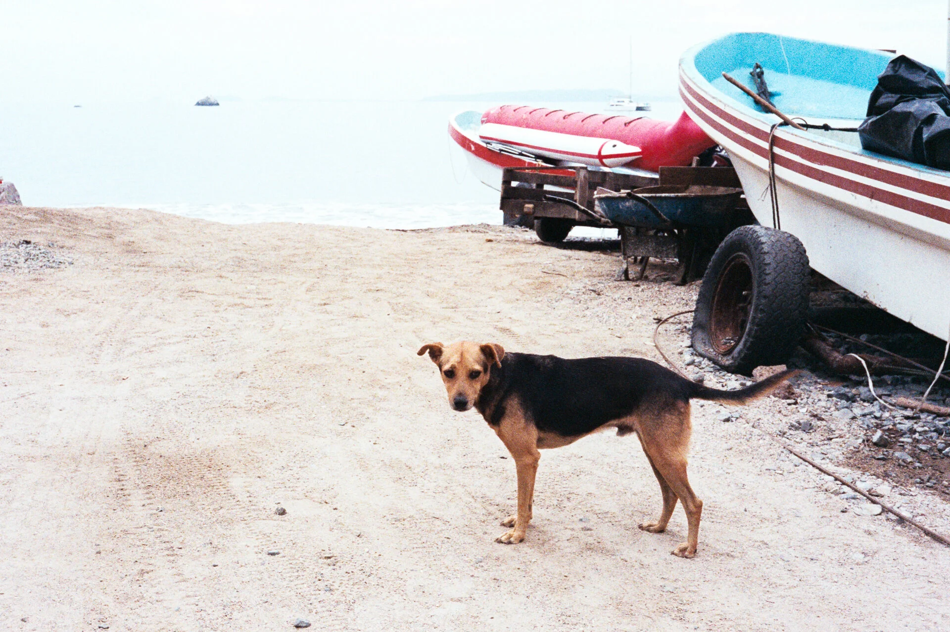 LaManzanilla_a_1219_m4_fuji800AA032.jpg