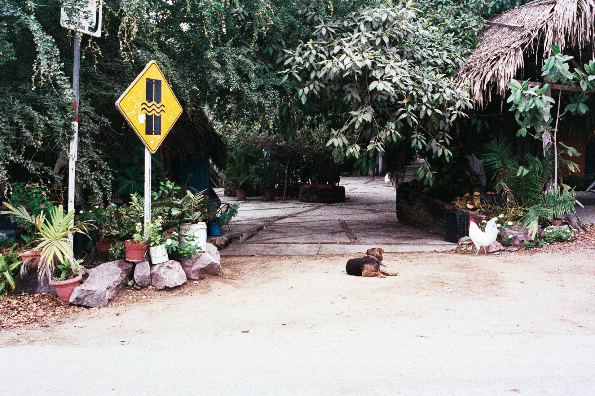 LaManzanilla_a_1219_m4_fuji800AA033.jpg