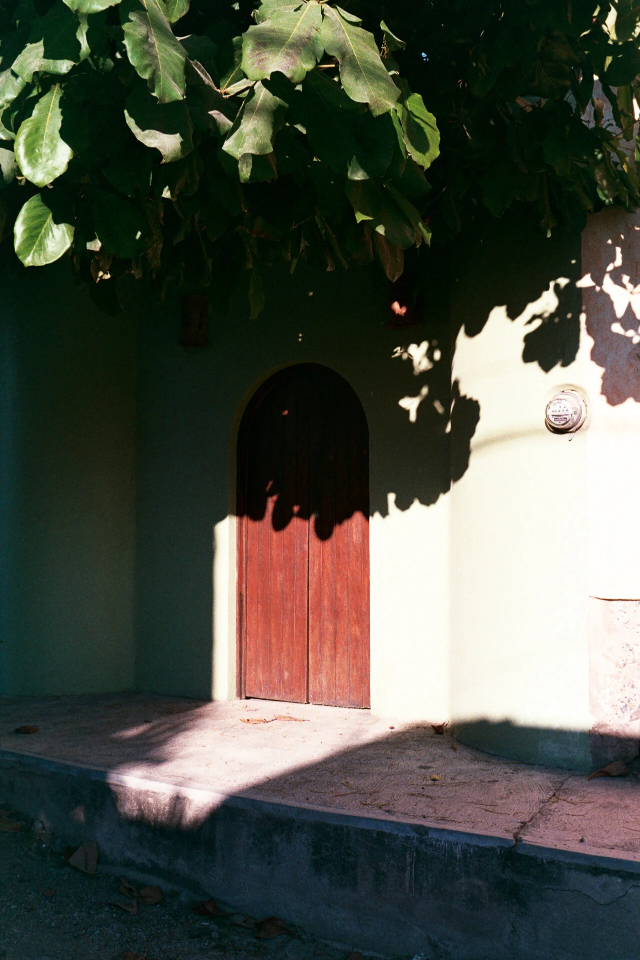 LaManzanilla_b_1219_m4_fuji200AA029A.jpg