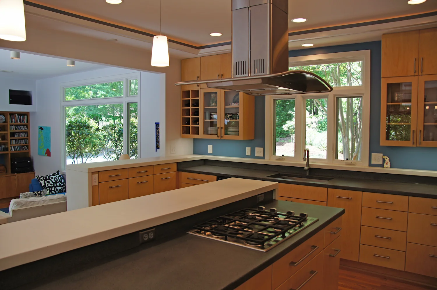 VH Contemporary Renovation