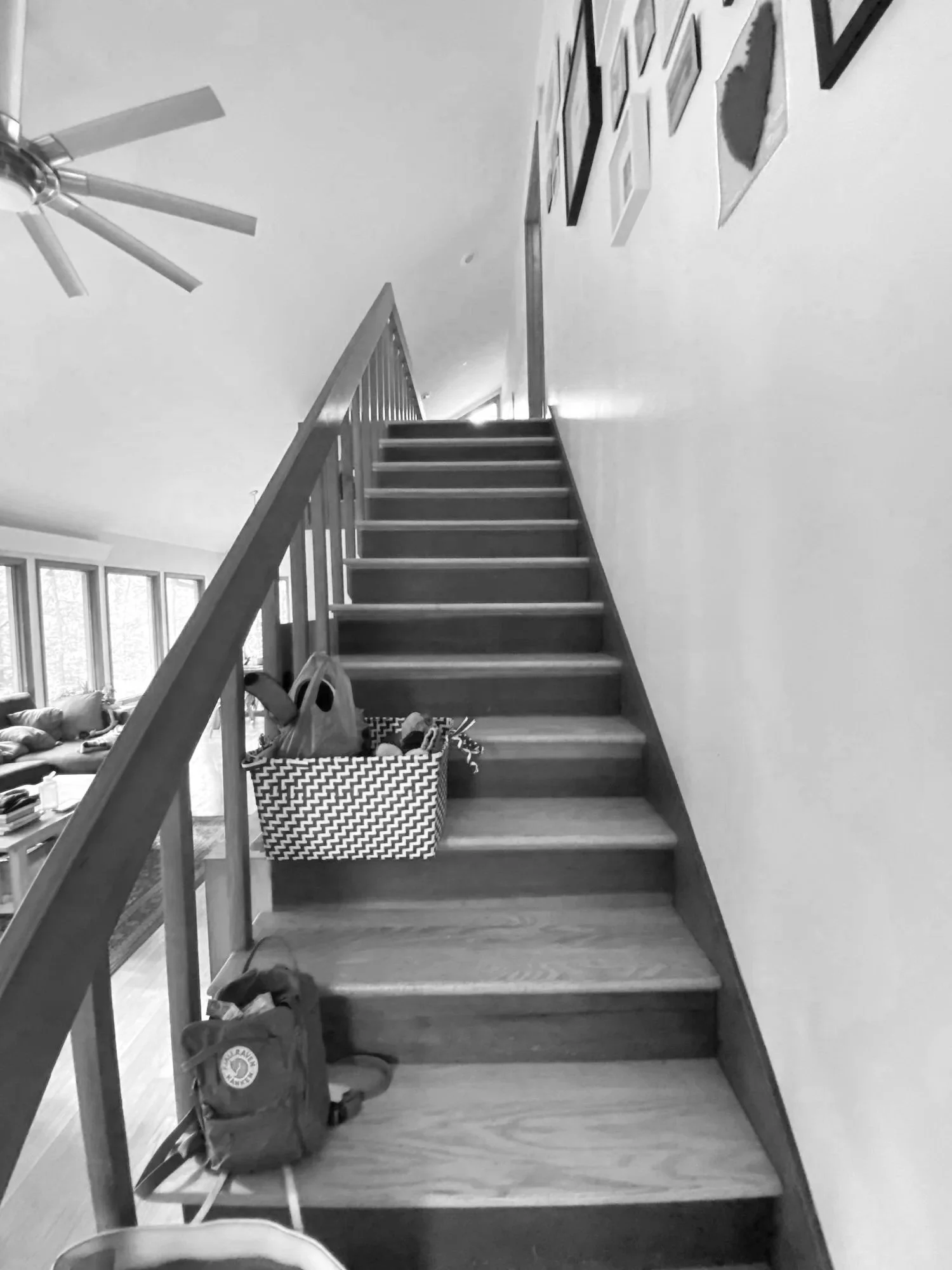 IMG_1239+copy.jpg
