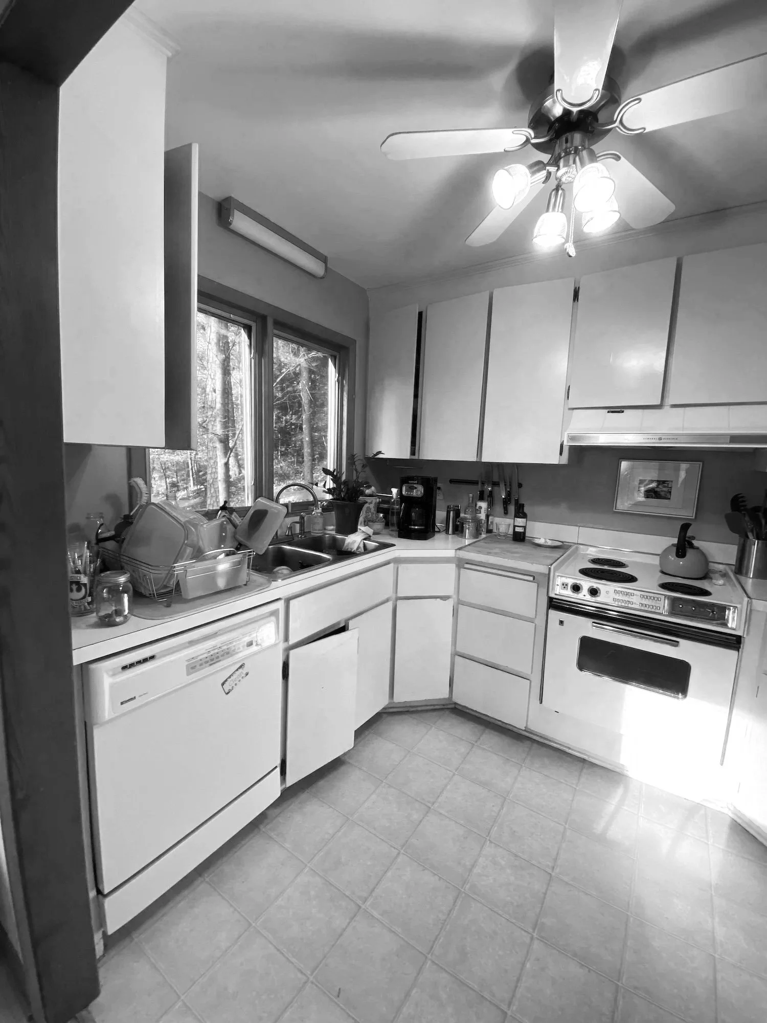 IMG_1269+copy.jpg