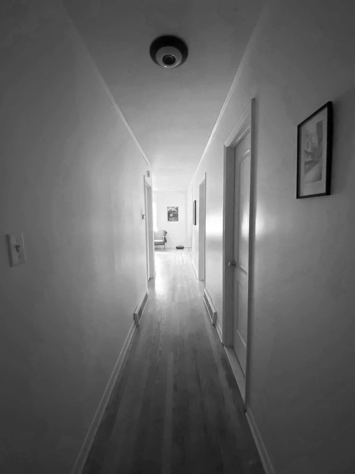 IMG_6481+copy.jpg