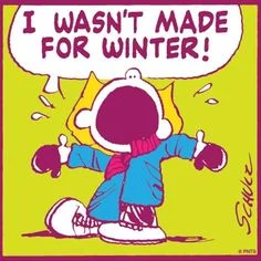 i hate snow