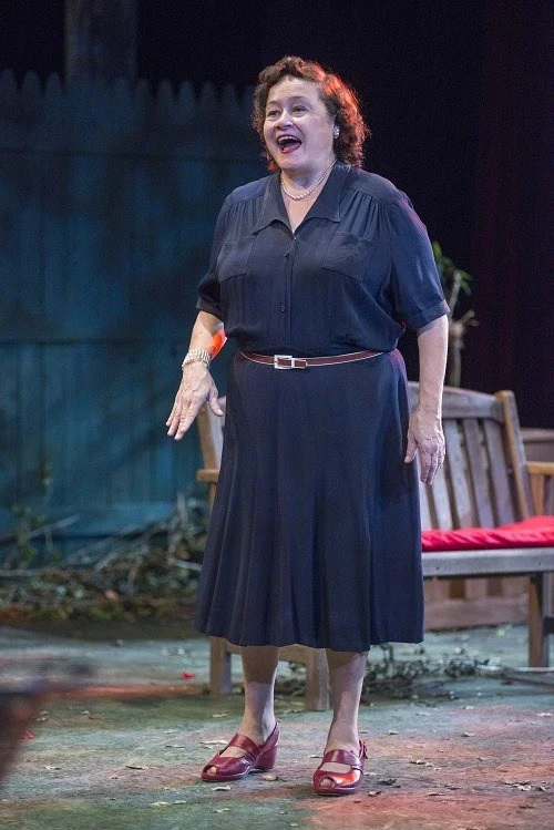 JoAnn-Montemurro-in-All-My-Sons-Raven-Theatre.jpg