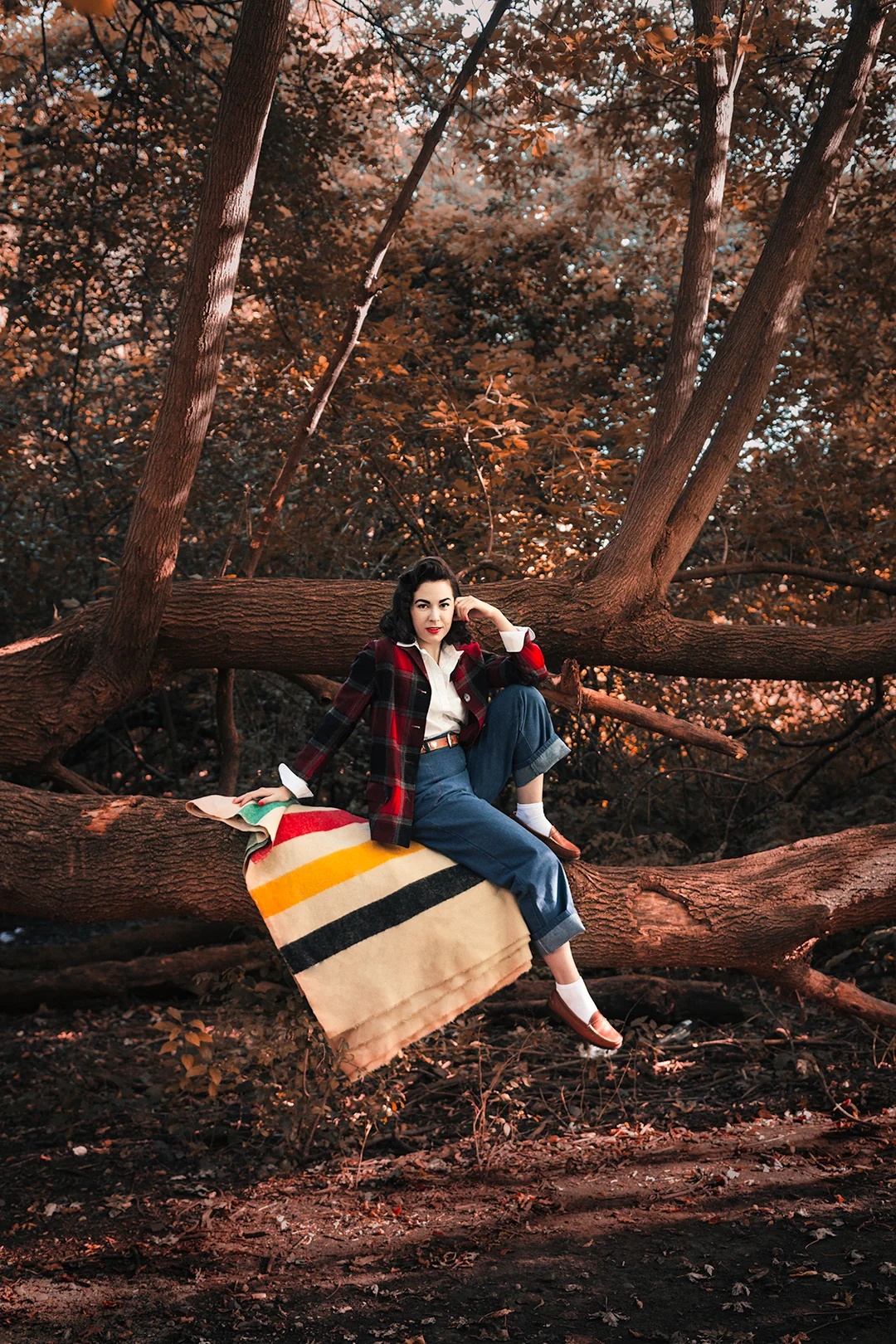 49er-Sitting-on-Tree-Sharper.jpg