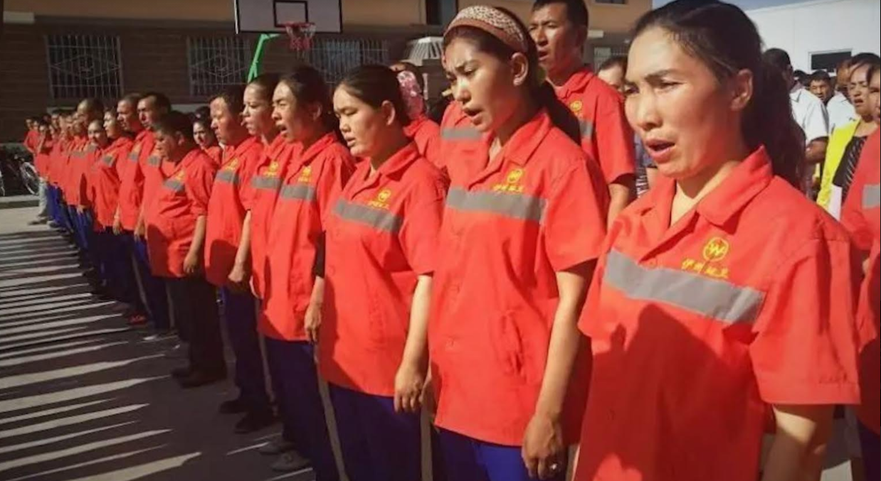 History Repeating: The Forced Labor and Genocide of the Uyghurs