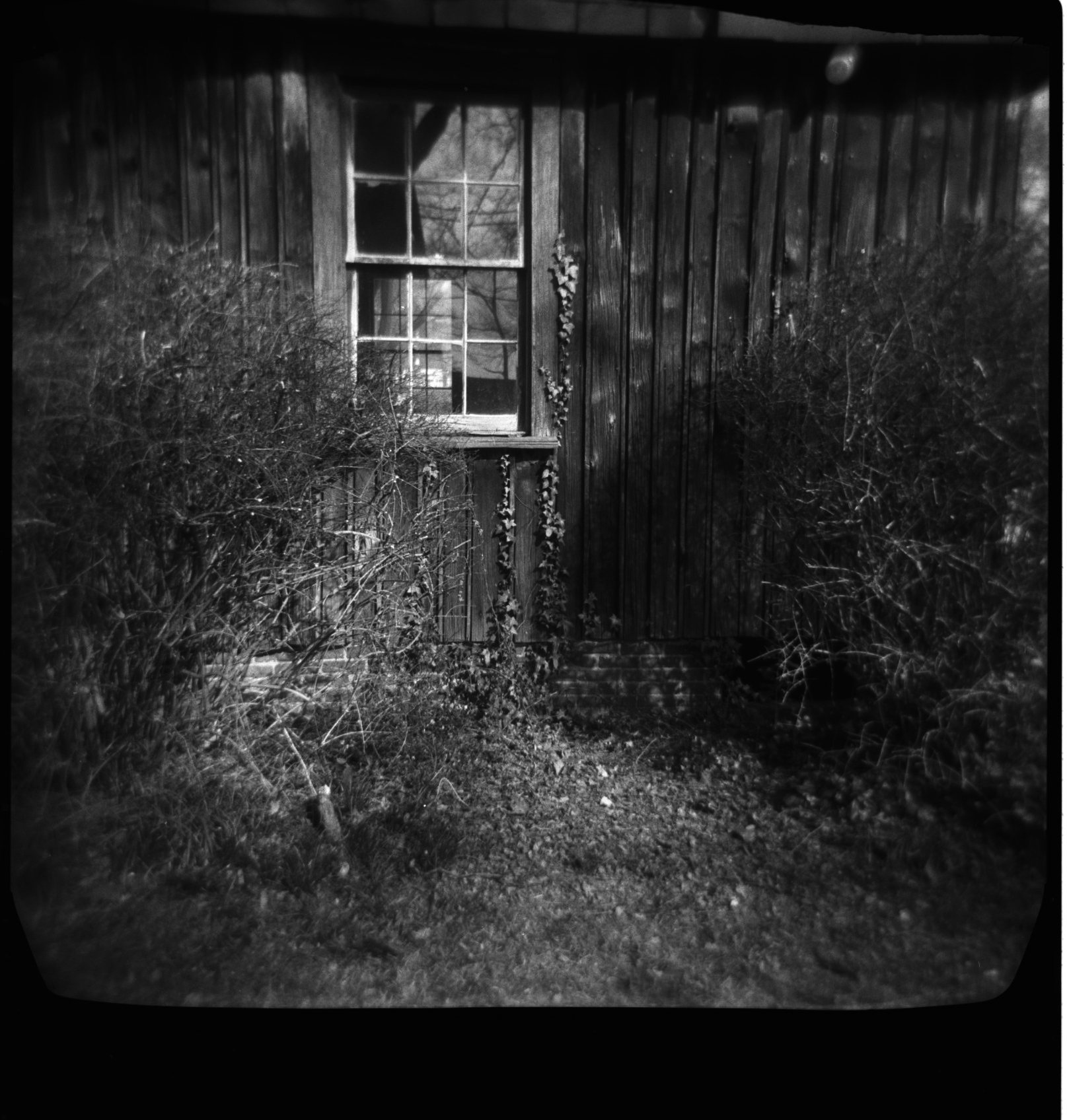 Photography by Kristen M. Bryant