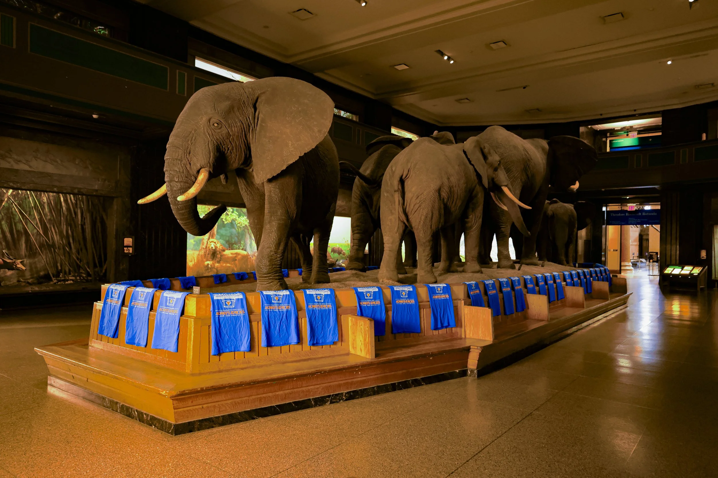 AMNH.JPG