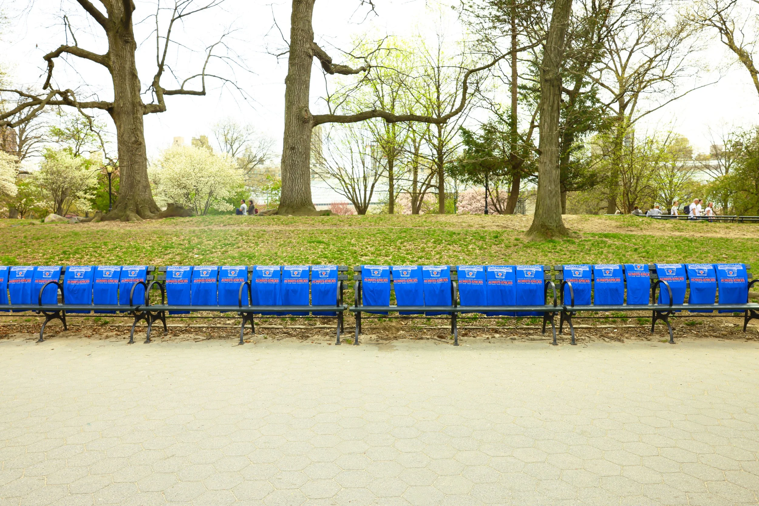 Central Park 2.JPG