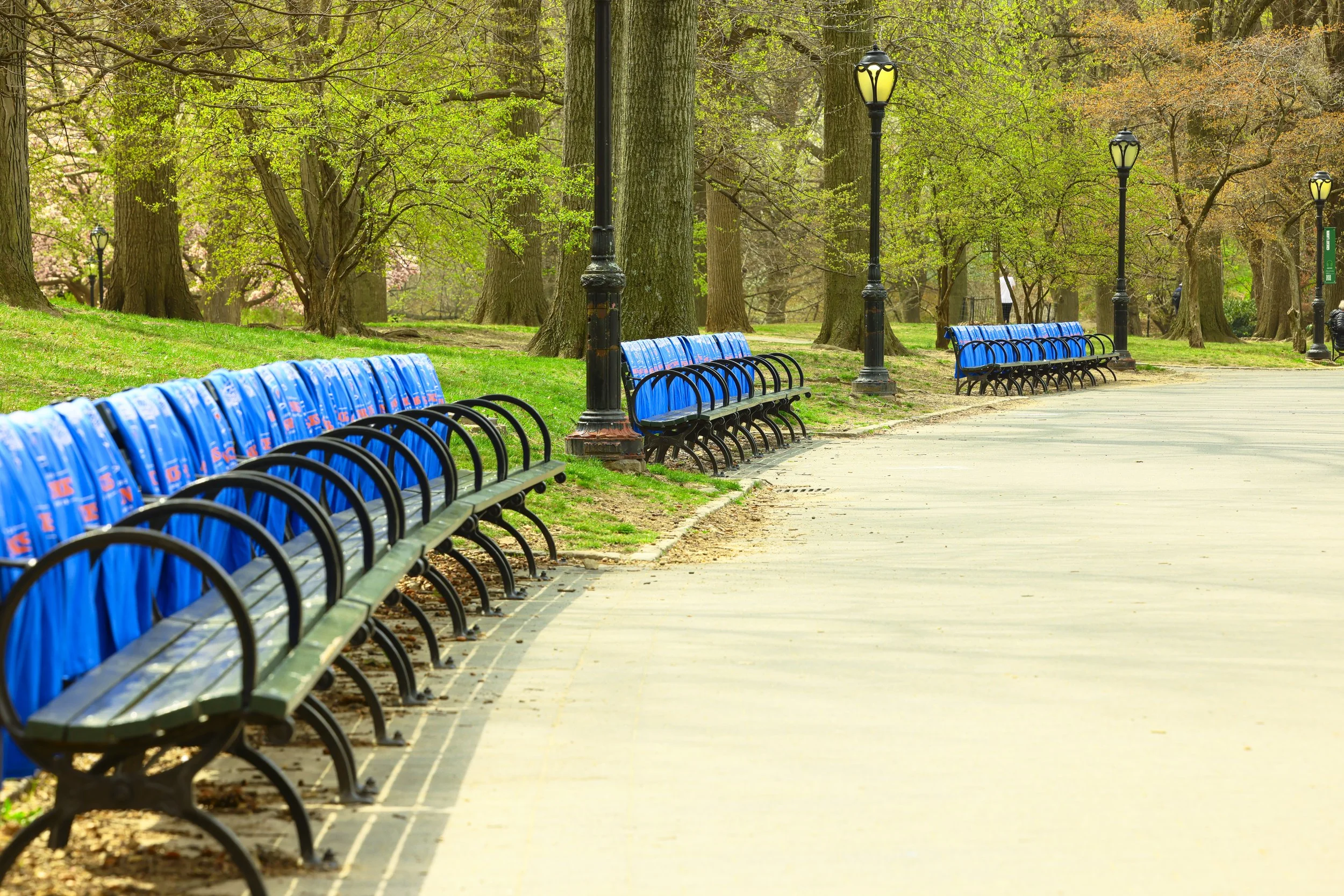 Central Park.JPG