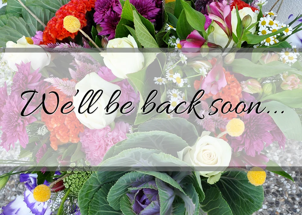 Reopening 3.jpg