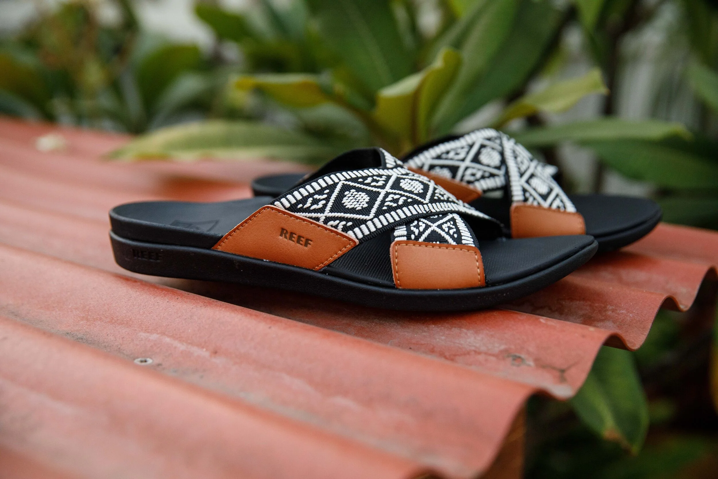 JMARTIN_REEF_5016.jpg