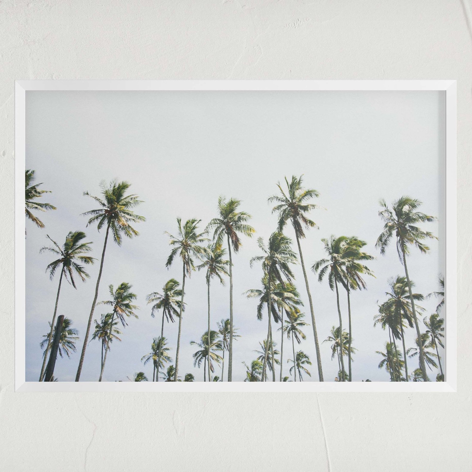 HAWAII_PALMS_MOCKUP.jpg