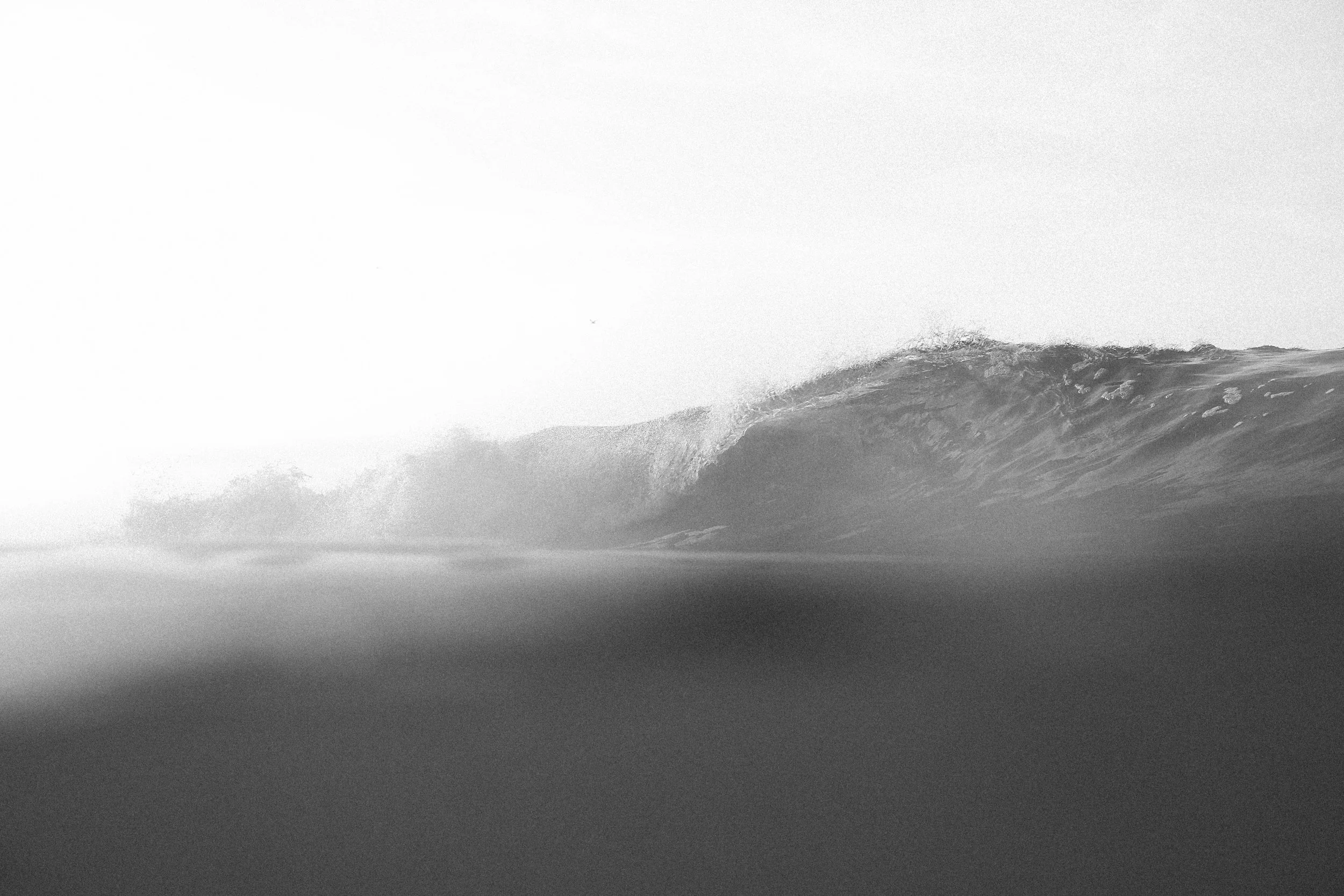 JMARTIN_REEF_9329.jpg