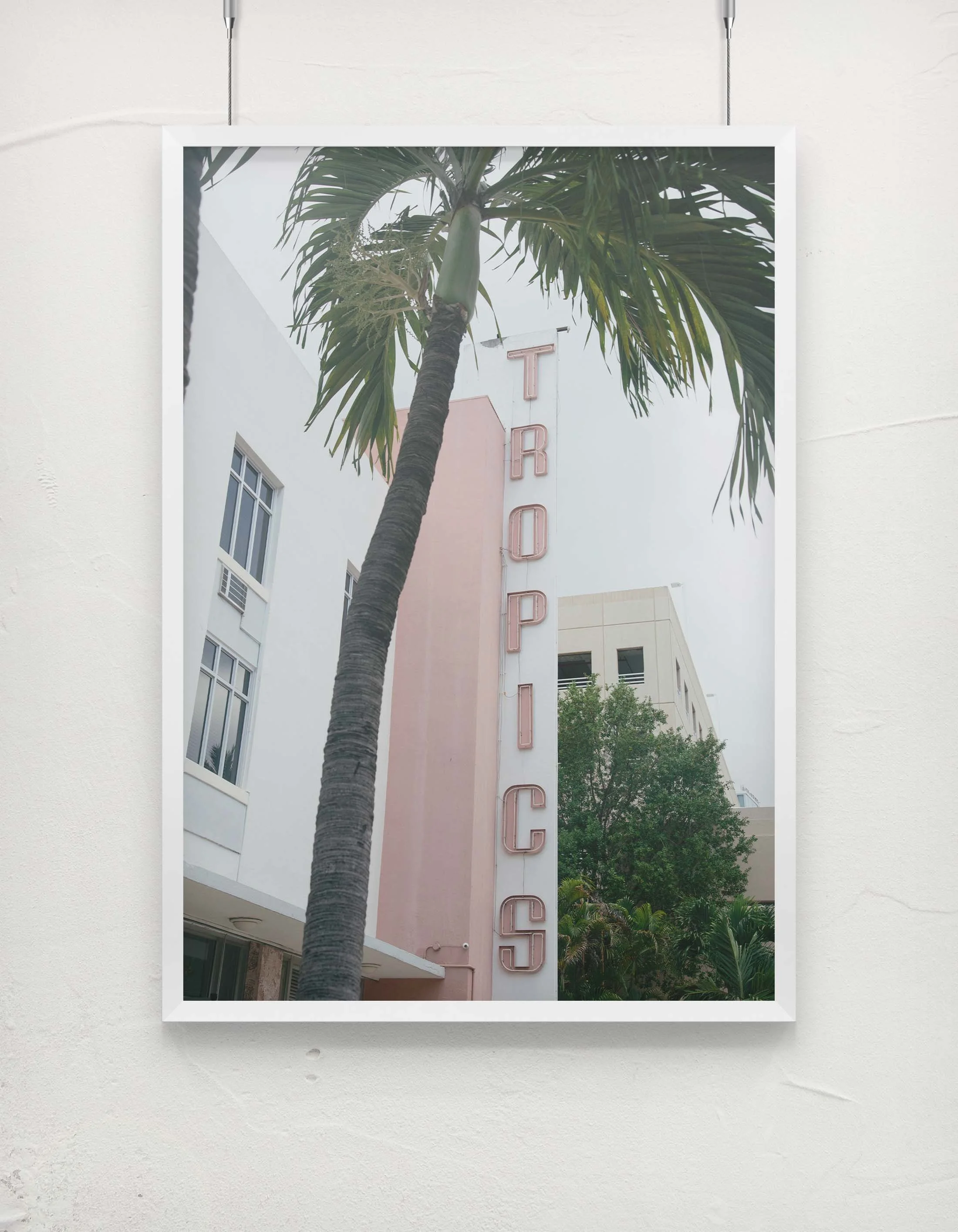 TROPICS_VERTICAL.jpg