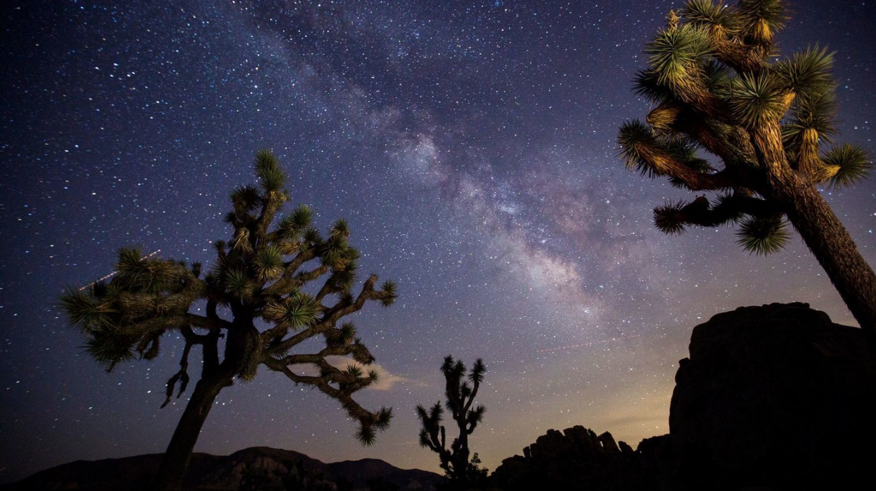 Joshua Tree Nighttime Inspiration. Photo credit here .