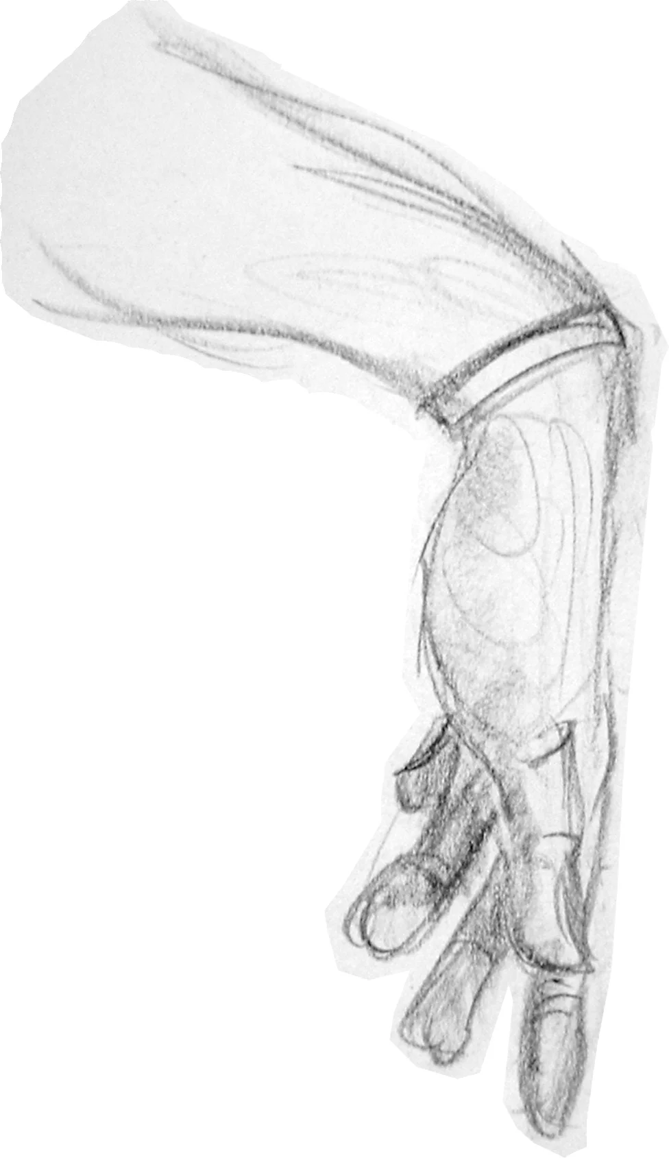 Hand Gesture