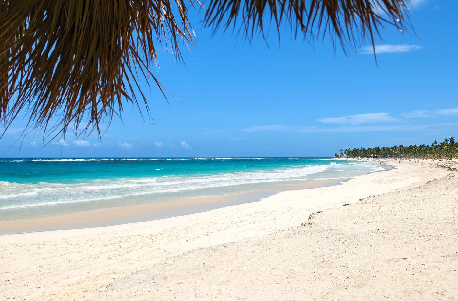 HRH Punta Cana Beach 5745 042513.jpg