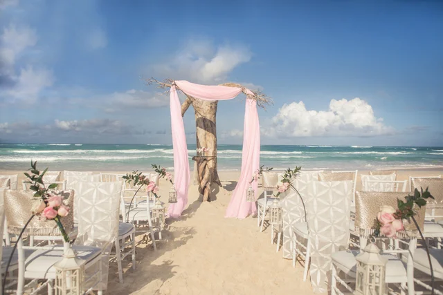 Driftwood Romance Ceremony - Pink 2.Jpg
