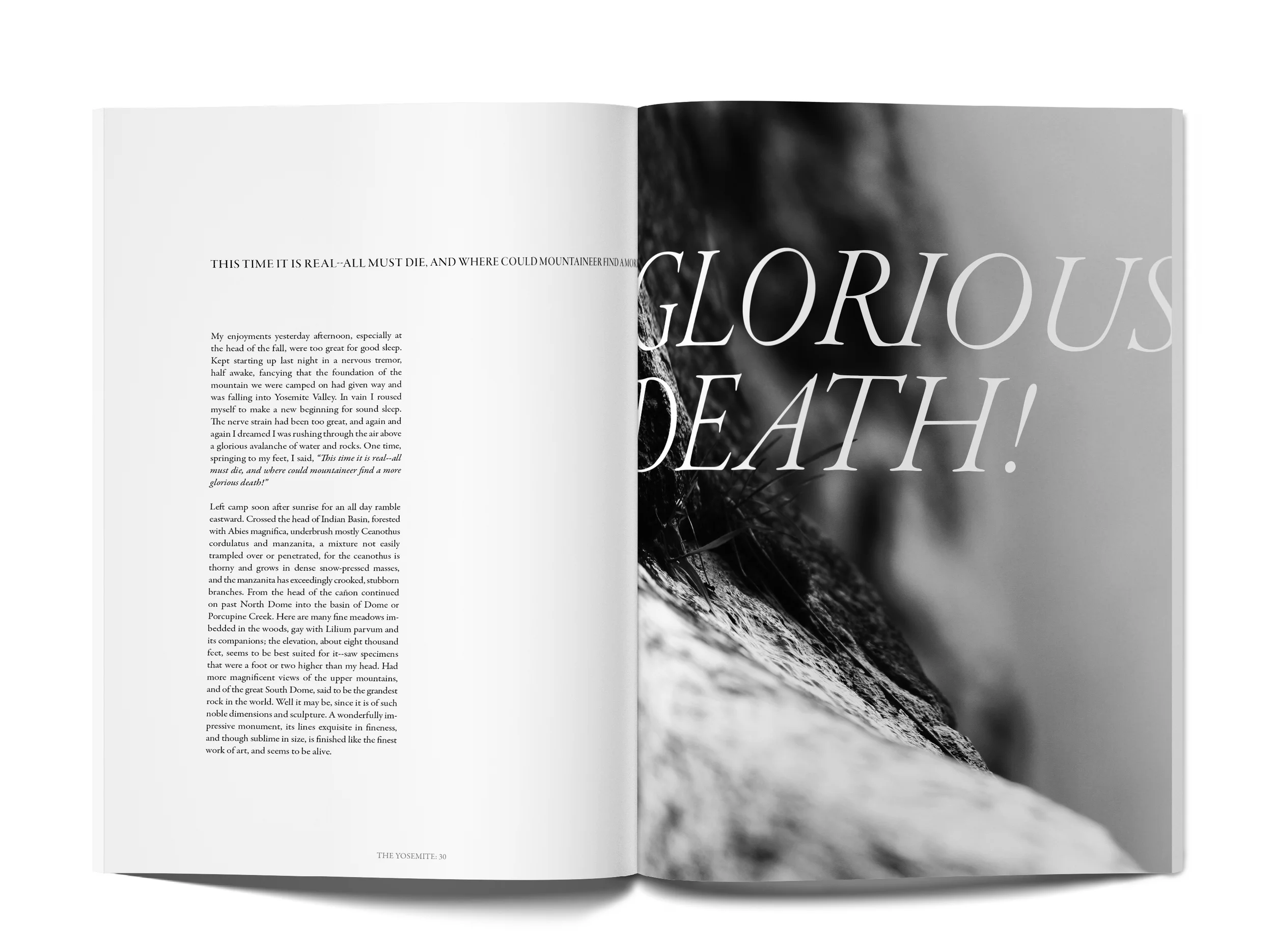 spread5.jpg