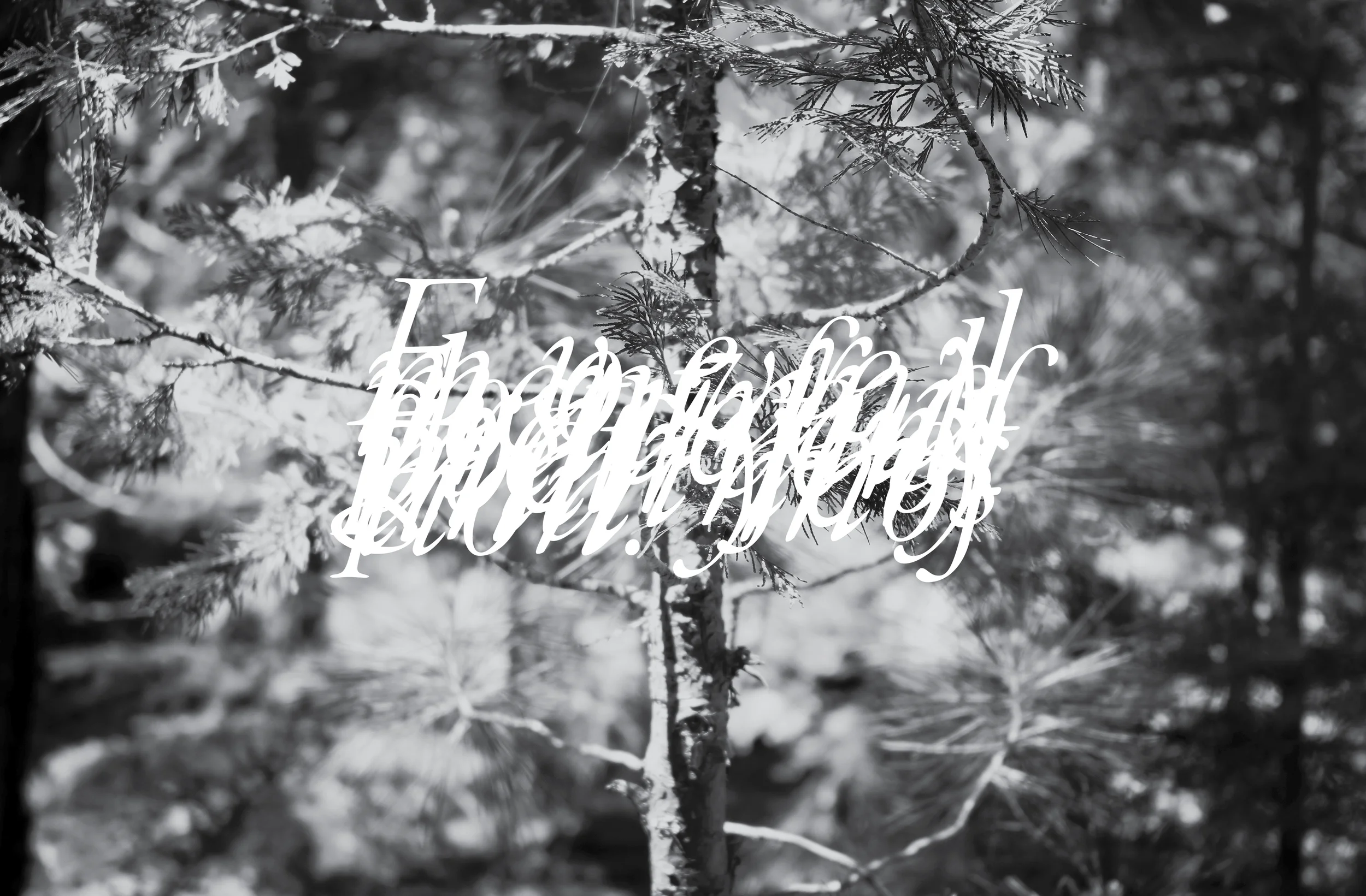 jmasamori_yosemite_eob42.jpg
