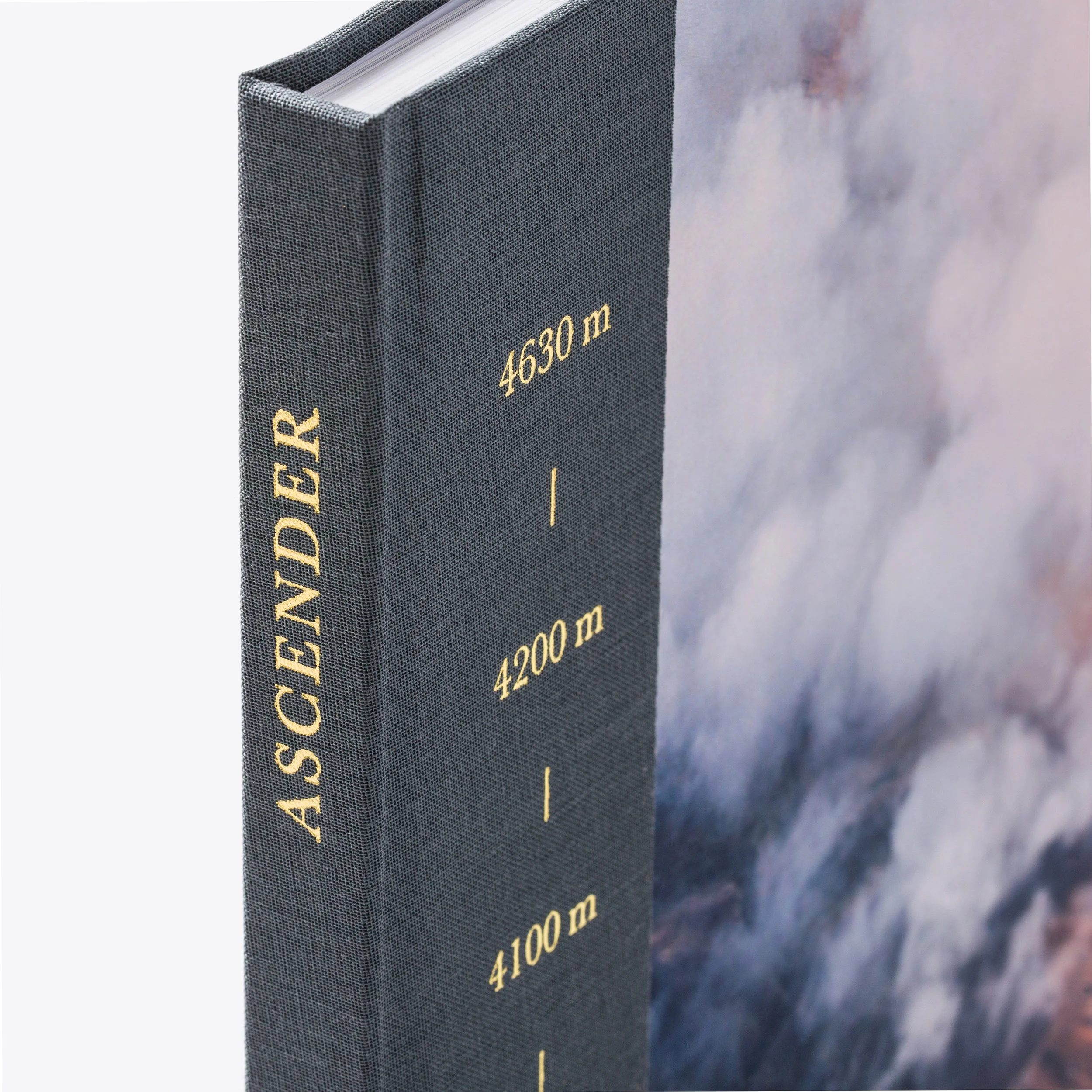 Ascender-022.jpg