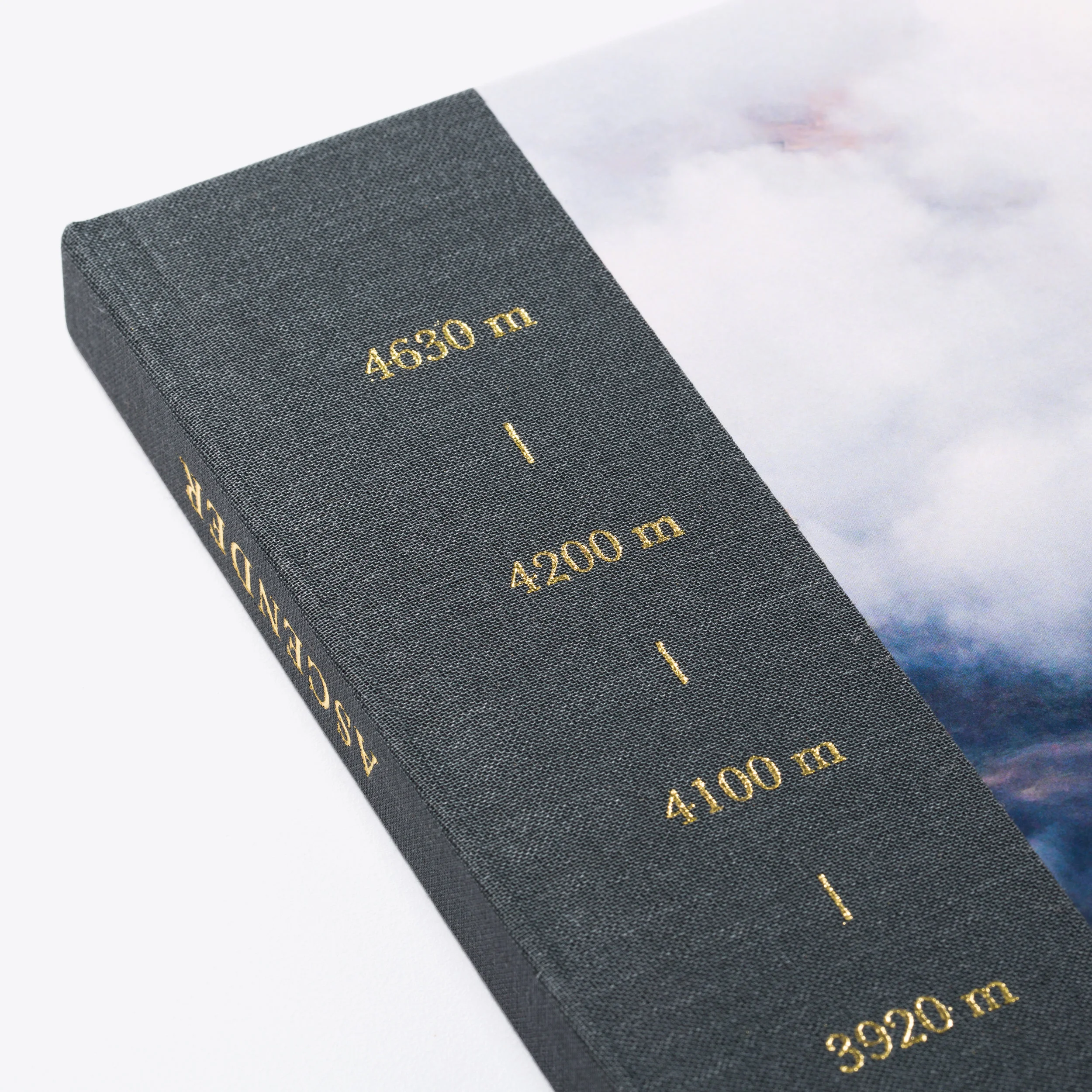 Ascender-021.jpg