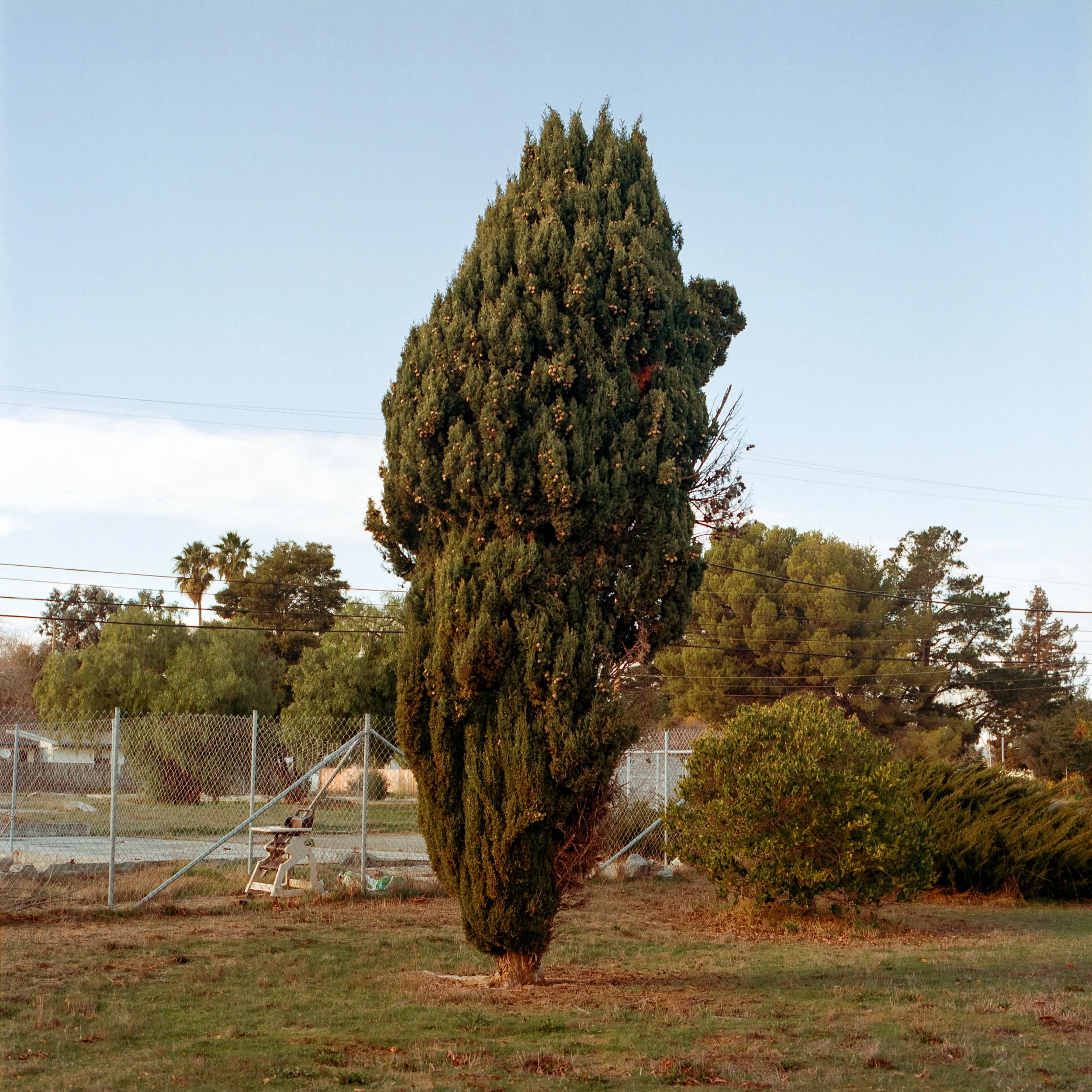 Alameda-Point-285.jpg