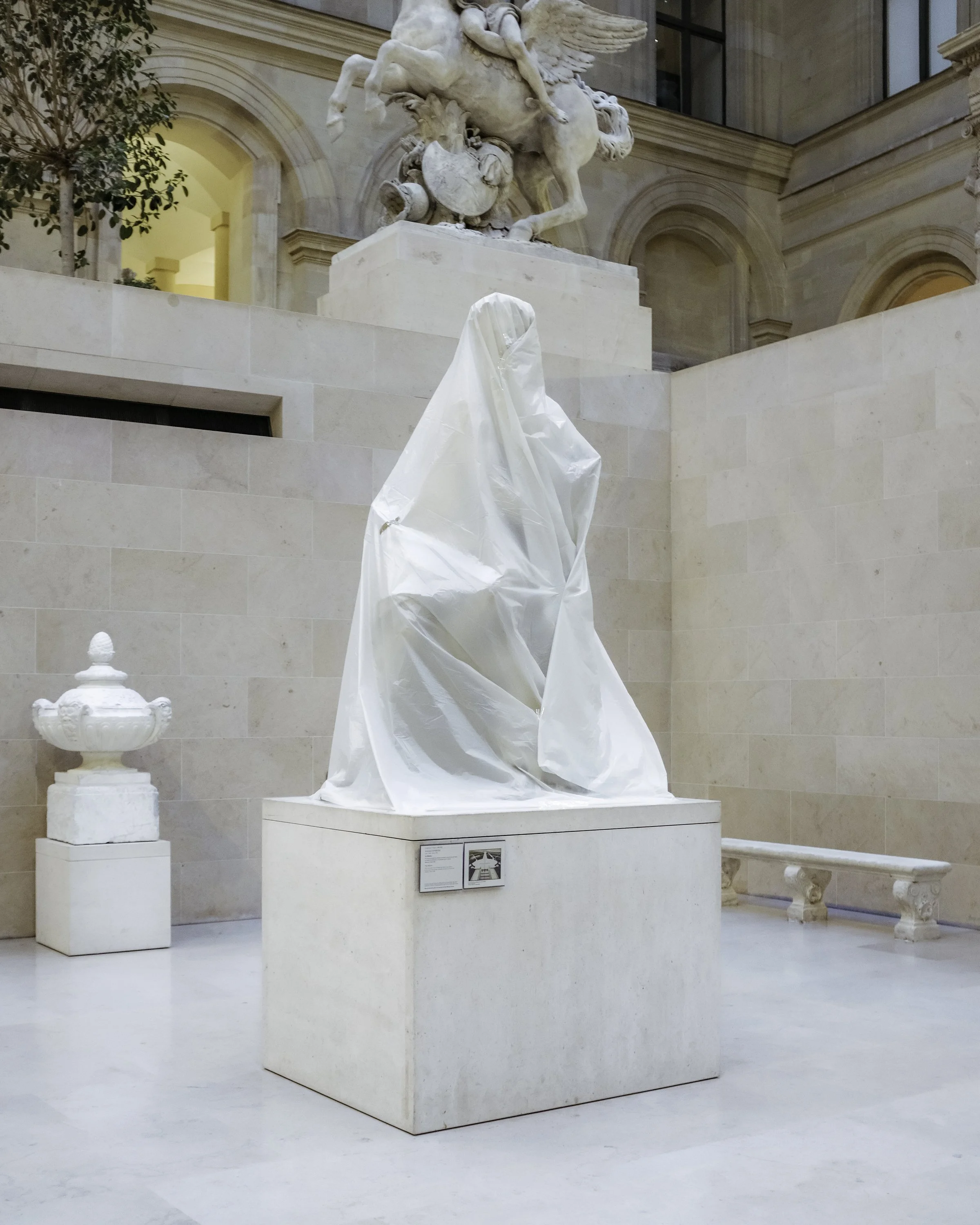 DSCF5398.jpg